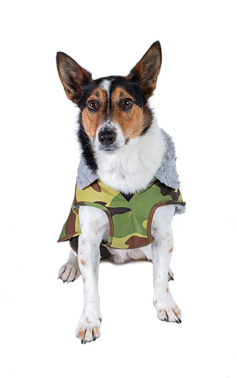 Dryrobe Dog Coat Camo/Grey-4
